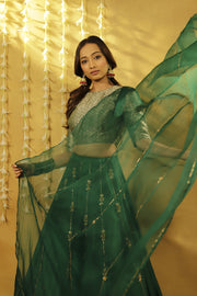 Green Baag Lehenga