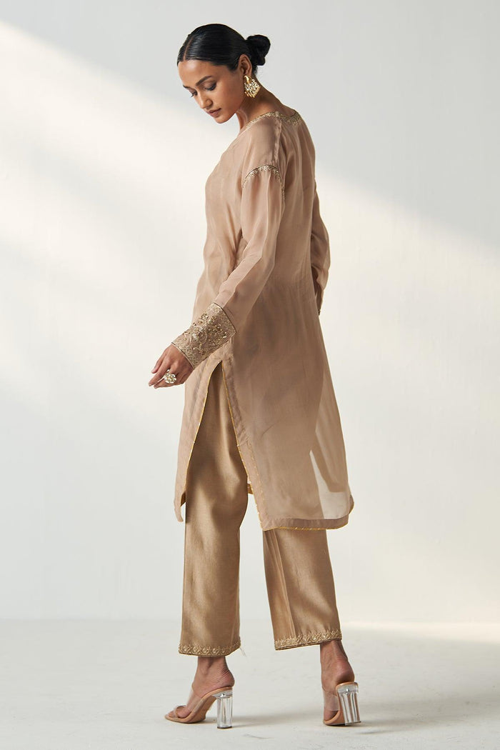 PAKHI FAWN SHEER KURTA PANT SET